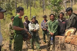 Dựng lại hiện trường phá rừng ở VQG Yok Đôn