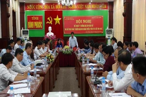 Bình Phước: Đề xuất ý tưởng phát triển cây chủ lực