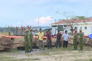 Lâm tặc dùng 5 công nông chở gỗ lậu về nhà
