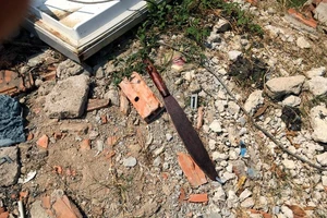 Lên cơn tâm thần, chồng sát hại vợ