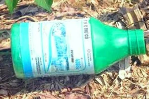 Thách đố nhau, 4 học sinh nhập viện vì uống thuốc diệt cỏ