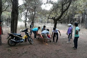 Nam thanh niên chết trong rừng thông, để thư tuyệt mệnh 