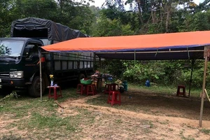 Ổ xóc đĩa 30 người trong rừng giáp ranh