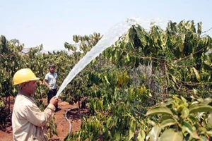 Khởi tố chủ tịch xã ăn chặn tiền hỗ trợ hạn hán