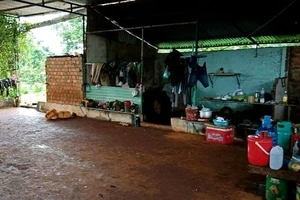 Thanh niên 27 tuổi chết trong tư thế treo cổ