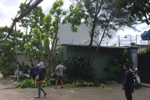 Người đàn ông chết trong tư thế treo cổ bên đường ở Hóc Môn