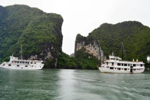 Bão số 4: Quảng Ninh cấm tàu nghỉ đêm xuất bến