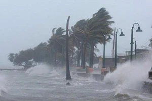 Quảng Ninh được dự báo là tâm điểm siêu bão Mangkhut đổ bộ