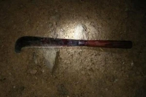 Trộm than, dùng dao quắm chém bảo vệ ​