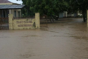 Đắk Lắk, Lâm Đồng: Hoa màu chìm trong biển nước