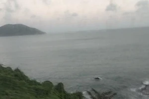 Chuyện thú vị trên chuyến tàu xuân Canh Tý