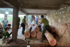 Phát hiện hơn 8 m3 gỗ không nguồn gốc trong xưởng