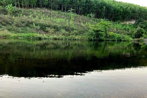 Tử vong vì thi lặn sau khi uống rượu