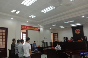 Lái xe bị buộc tội vì tranh thủ đánh bài lúc vắng khách