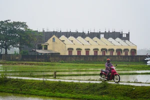 1 trường tiểu học ở Quảng Bình tan hoang sau bão số 13