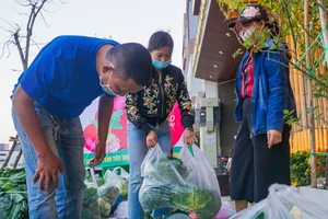 Người Đà Nẵng chung tay giải cứu nông sản Hải Dương