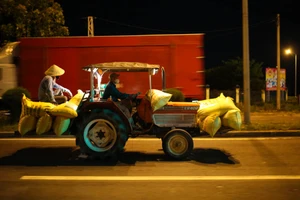 Nông dân Đà Nẵng hối hả gặt lúa xuyên đêm khi thành phố phong toả