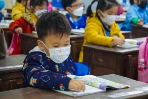 Học sinh tiểu học Đà Nẵng háo hức đi học trở lại