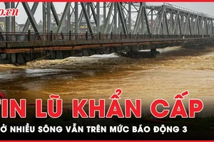 Tin lũ khẩn cấp: Bắc Bộ vẫn ngập lụt nghiêm trọng, nhiều sông duy trì lũ trên mức báo động 3