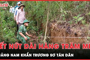 Vết nứt dài hàng trăm mét trên đồi, Quảng Nam khẩn trương tìm nơi tái định cư cho người dân