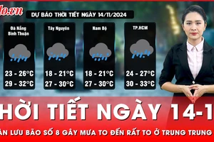 Dự báo thời tiết ngày 14-11: Hoàn lưu bão số 8 gây mưa to đến rất to ở Trung Trung Bộ