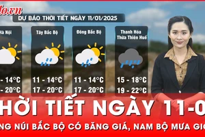Dự báo thời tiết ngày 11-01: Vùng núi Bắc Bộ xuất hiện băng giá, Nam Bộ có mưa rào và giông