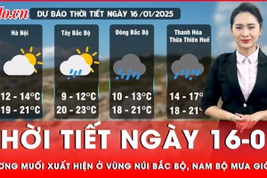 Dự báo thời tiết ngày 16-01: Sương muối xuất hiện ở vùng núi Bắc Bộ, Nam Bộ mưa rào và giông