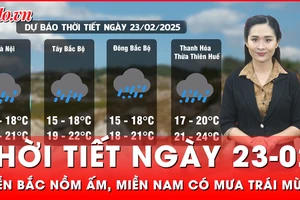 Dự báo thời tiết ngày 23-02: Miền Bắc nồm ẩm, miền Nam mưa trái mùa