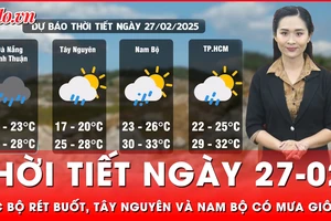 Dự báo thời tiết ngày 27-02: Bắc Bộ rét buốt, Tây Nguyên và Nam Bộ có mưa giông