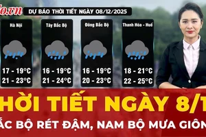 Dự báo thời tiết ngày 8-12: Bắc Bộ rét đậm, Nam Bộ mưa giông 