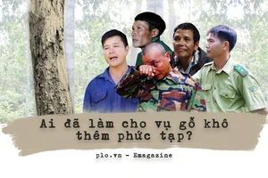 Ai đã làm cho vụ cưa gỗ khô thêm phức tạp?