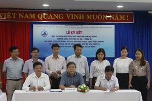 Đà Nẵng trích xuất camera 'dẹp' nạn đeo bám, chèo kéo khách