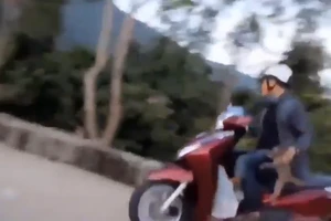 1 khỉ con bị bắt trộm, đàn khỉ lớn kêu gào đuổi theo