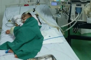 Chọc tổ ong vò vẽ, bé 4 tuổi bị đốt hơn 80 mũi phải đi cấp cứu