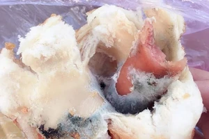 Bán bánh mì mốc, 1 cửa hàng bị phạt gần 28 triệu đồng