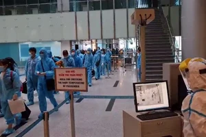 Đà Nẵng, Quảng Nam đón 448 công dân Việt Nam về từ Hàn Quốc