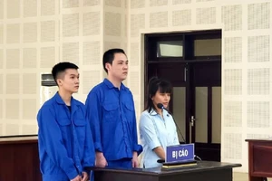 Xét xử nhóm tổ chức cho người Trung Quốc lưu trú trái phép