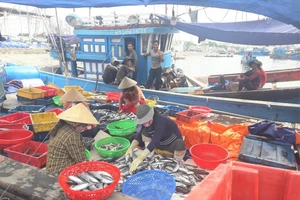 Chủ tịch Đà Nẵng: Chống dịch nhưng vẫn phải bảo vệ ngư dân