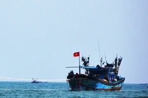 3 ngư dân chết chưa rõ nguyên nhân khi đang đánh bắt trên biển