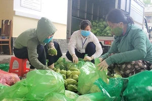 Chủ tịch Đà Nẵng yêu cầu ‘5 không’ trong 7 ngày phong tỏa thành phố