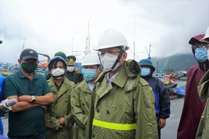 Đà Nẵng: Ngư dân lên bờ tránh bão được test nhanh COVID-19