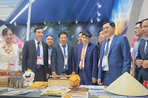 Đà Nẵng quyết tâm khôi phục mạng lưới bay quốc tế