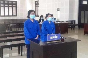 Hủy án vụ Việt kiều 'dỏm' chào bán 182 lô đất vì có dấu hiệu bỏ lọt tội phạm