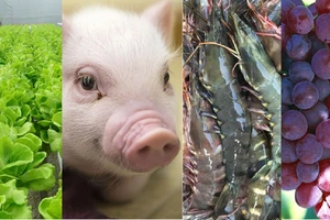 Cây trồng, vật nuôi được Nhà nước hỗ trợ bảo hiểm