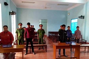 Thanh niên trộm 1 con chó lãnh 7 tháng tù