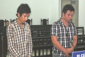 Ham mua xe giá rẻ, lãnh án tù