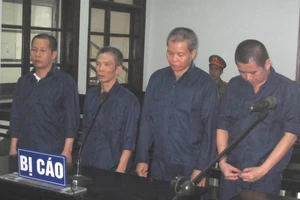 Nhóm 'đá xế' chuyên nghiệp lãnh án