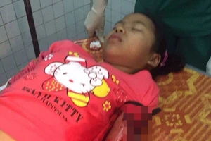 Bắt khẩn cấp hai kẻ bịt mặt đâm bé gái 12 tuổi đêm Noel