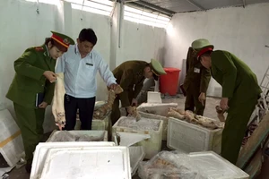 500 kg thịt mèo lậu trên xe khách xuyên Việt