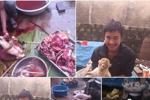 Giết thịt hàng chục con khỉ rồi khoe chiến tích trên Facebook 